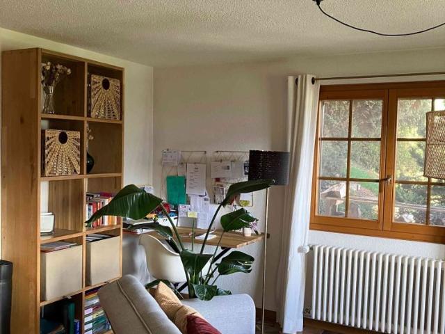 2.5 Zimmer, 45 m², EG