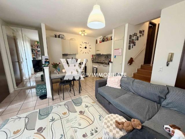 2.5 Zimmer, 43 m², EG