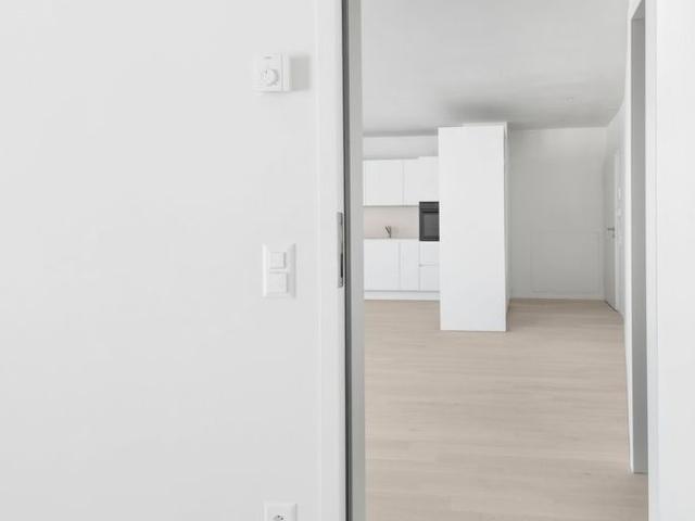 2.5 Zimmer, 54 m², 1. Stock