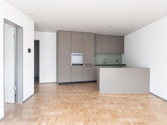 2.5 Zimmer, 54 m², EG