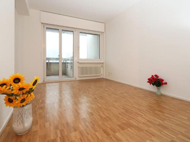 2.5 Zimmer, 54 m², EG