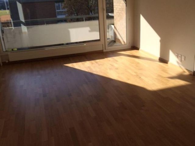 2.5 Zimmer, 55 m², 3. Stock