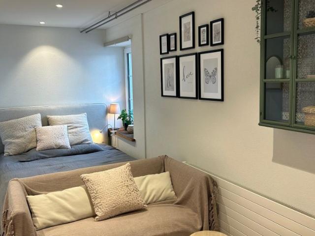 2.5 Zimmer, 55 m²