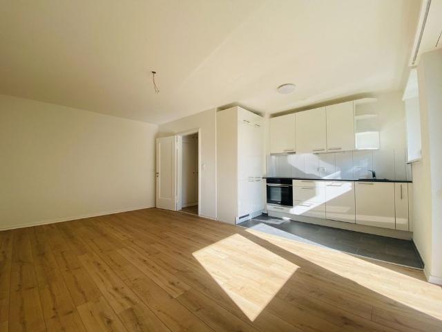 2.5 Zimmer, 55 m², 1. Stock