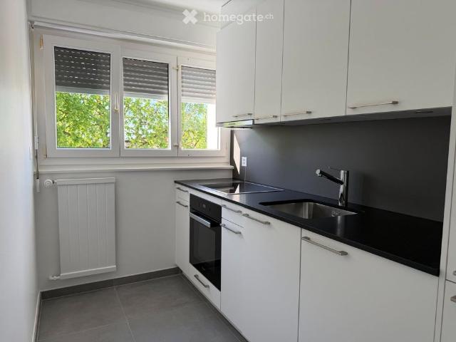 2.5 Zimmer, 55 m²