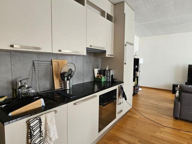 2.5 Zimmer, 55 m²