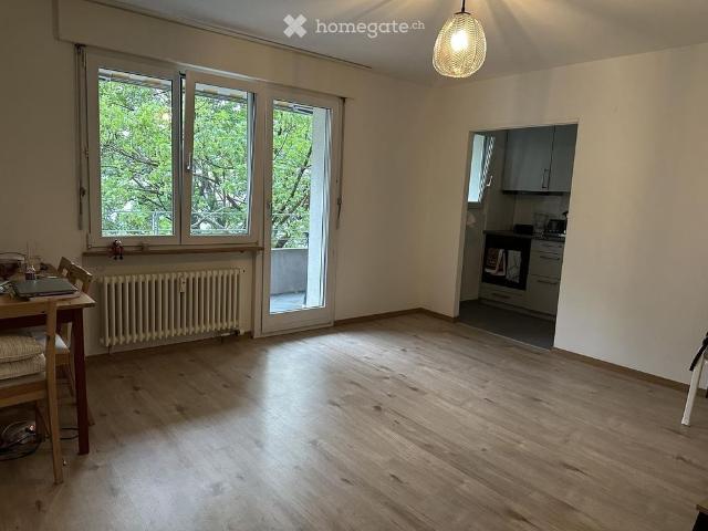 2.5 Zimmer, 55 m²