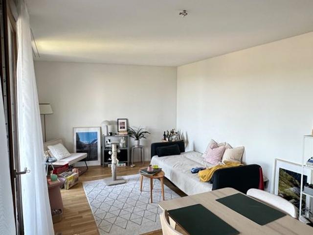 2.5 Zimmer, 55 m²