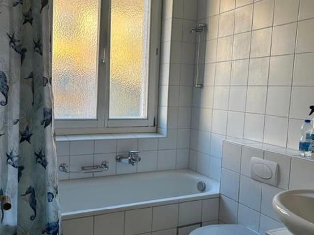 2.5 Zimmer, 55 m²