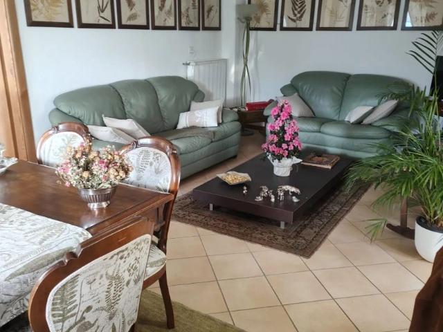 2.5 Zimmer, 55 m²