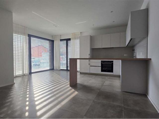 2.5 Zimmer, 55 m², EG