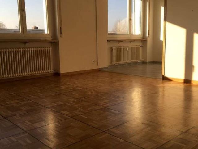 2.5 Zimmer, 55 m², EG
