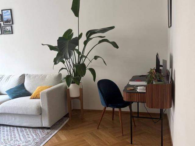 2.5 Zimmer, 56 m², 3. Stock