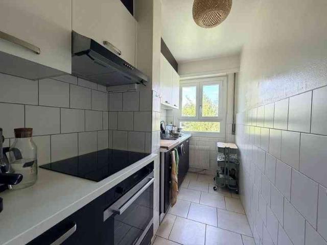 2.5 Zimmer, 56 m², EG