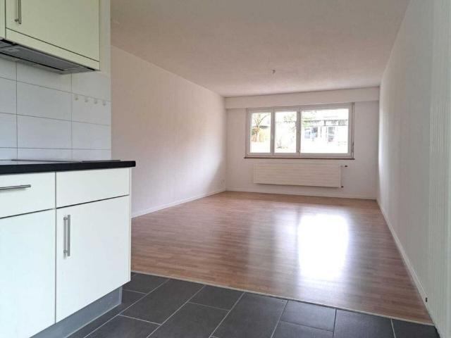 2.5 Zimmer, 57 m², EG