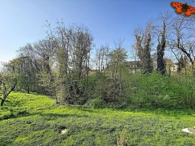 2.5 Zimmer, 57 m², EG