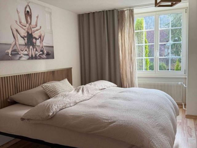 2.5 Zimmer, 58 m², EG