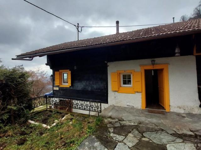 2.5 Zimmer, 59 m²