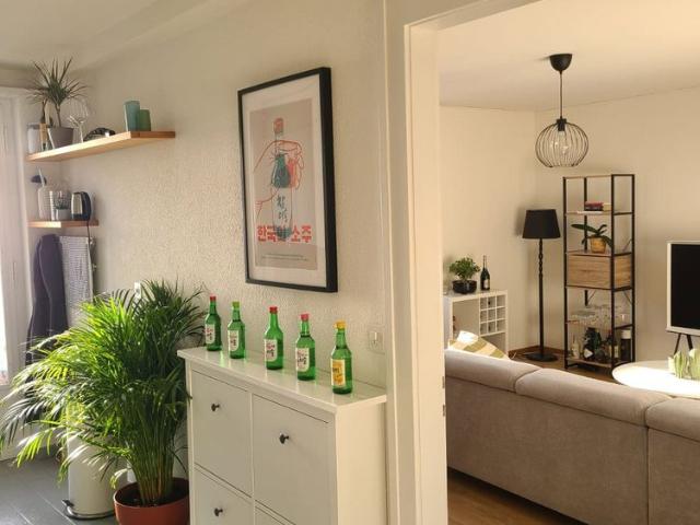2.5 Zimmer, 50 m², 3. Stock