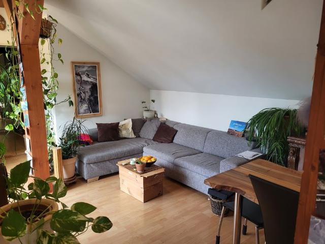 2.5 Zimmer, 50 m², 3. Stock