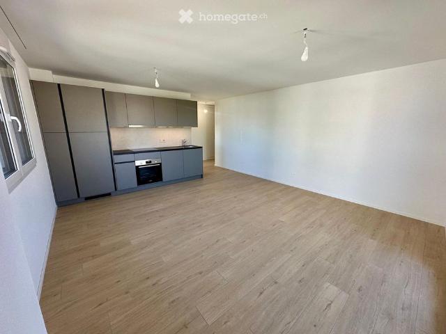 2.5 Zimmer, 50 m²
