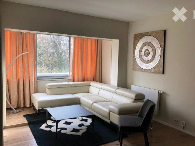 2.5 Zimmer, 50 m²