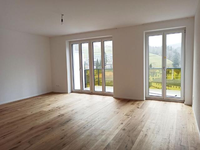 2.5 Zimmer, 50 m², EG