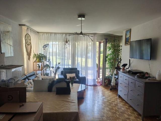 2.5 Zimmer, 50 m², EG