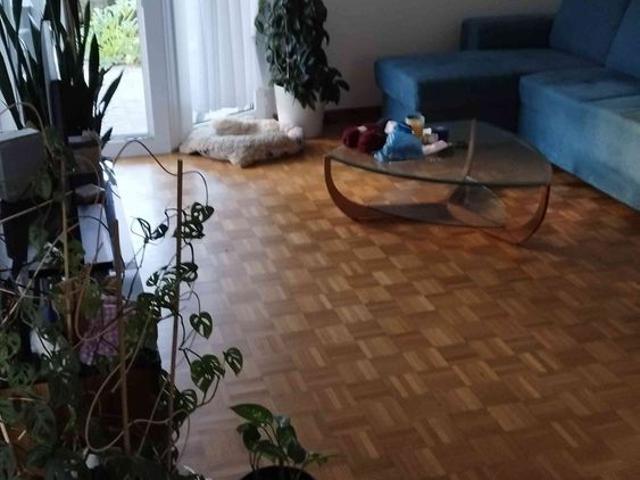 2.5 Zimmer, 50 m², EG