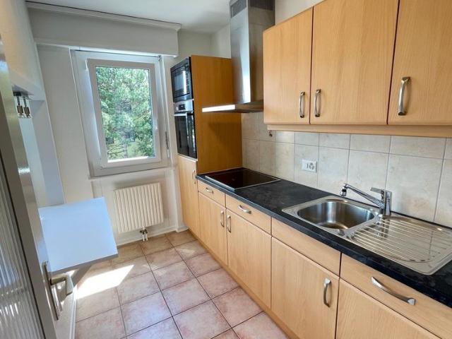 2.5 Zimmer, 51 m²