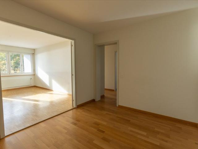 2.5 Zimmer, 52 m², 1. Stock