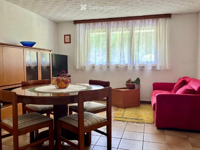 2.5 Zimmer, 52 m²