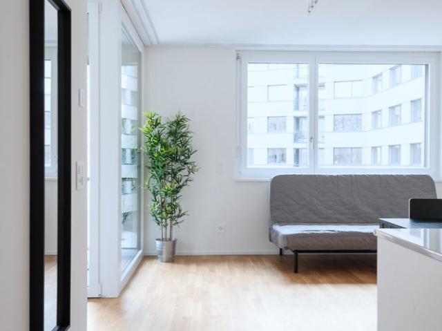 2.5 Zimmer, 52 m²