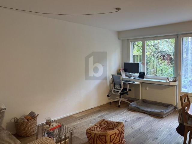 2.5 Zimmer, 52 m²