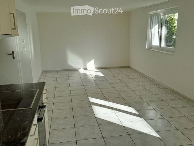 2.5 Zimmer, 53 m²