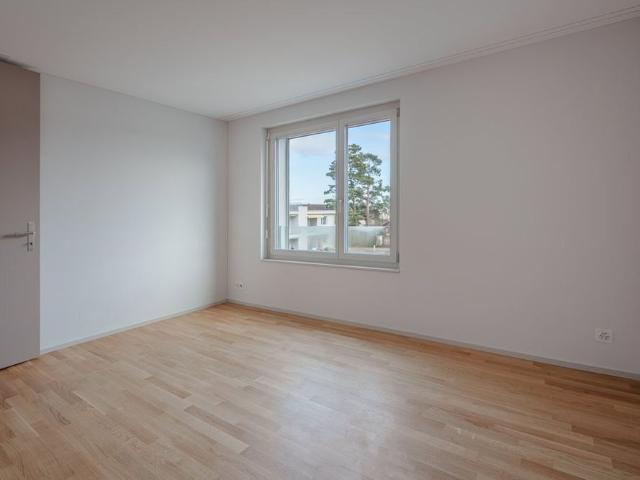 2.5 Zimmer, 53 m², EG