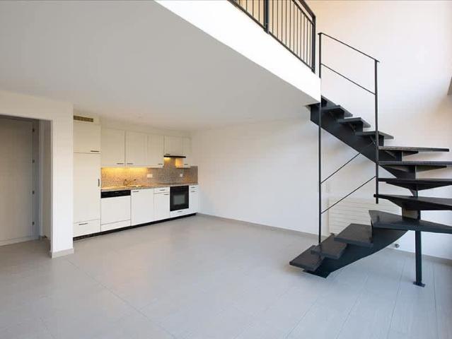 2.5 Zimmer, 53 m², EG