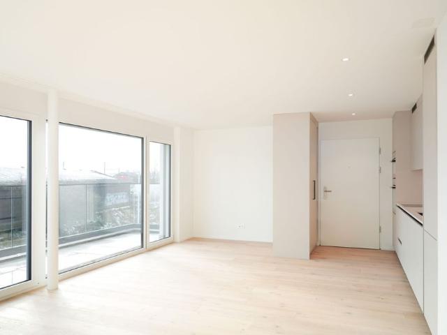 2.5 Zimmer, 53 m², EG