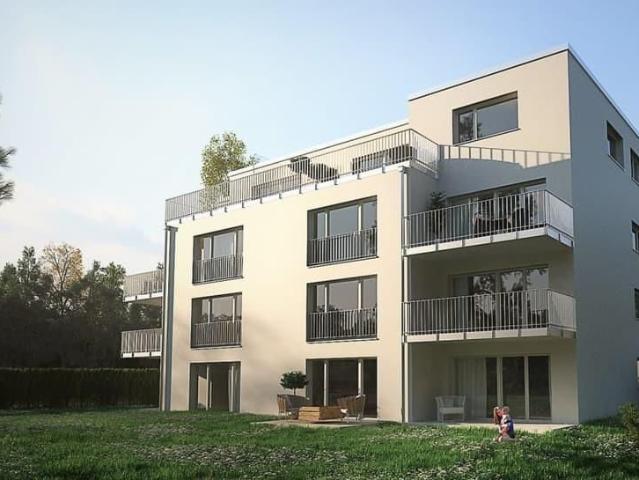 2.5 Zimmer, 65 m², 1. Stock