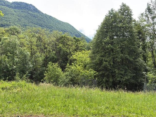 2.5 Zimmer, 67 m²