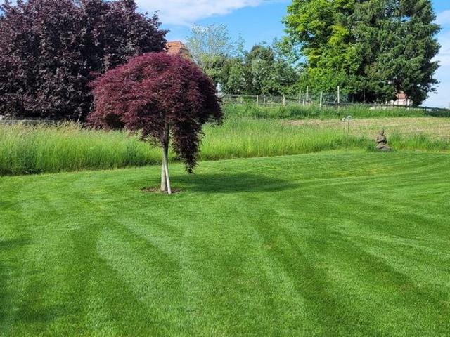 2.5 Zimmer, 69 m², 1. Stock
