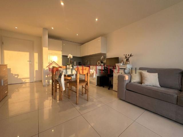 2.5 Zimmer, 60 m²