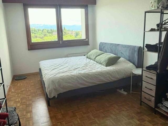 2.5 Zimmer, 60 m²