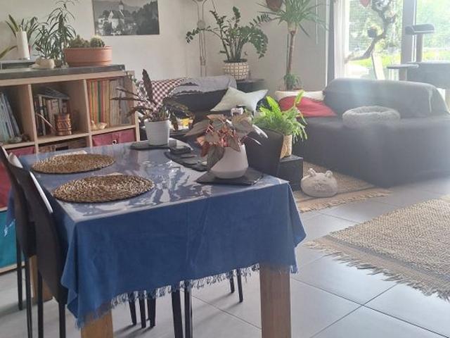 2.5 Zimmer, 60 m²