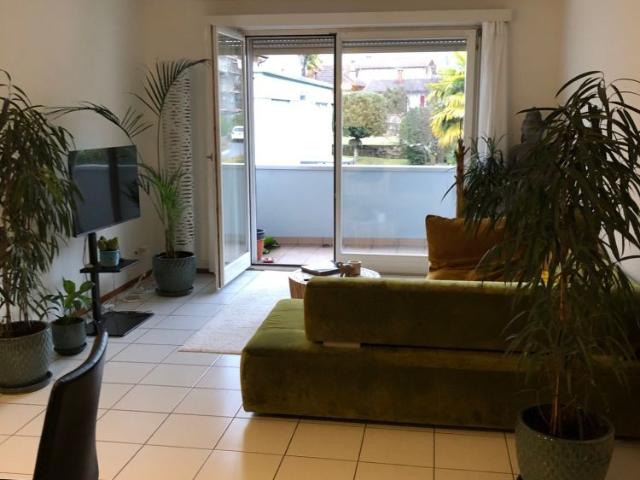 2.5 Zimmer, 60 m²