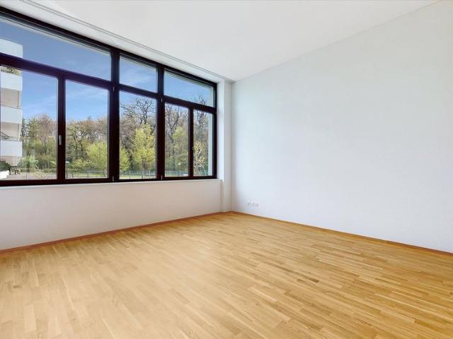 2.5 Zimmer, 61 m², EG