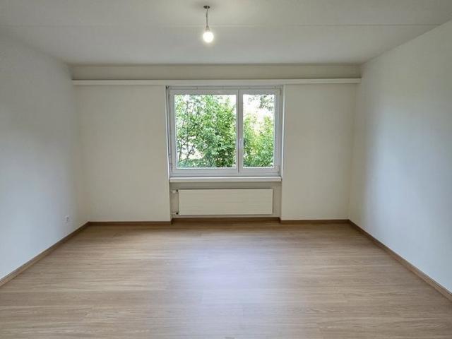 2.5 Zimmer, 62 m², EG