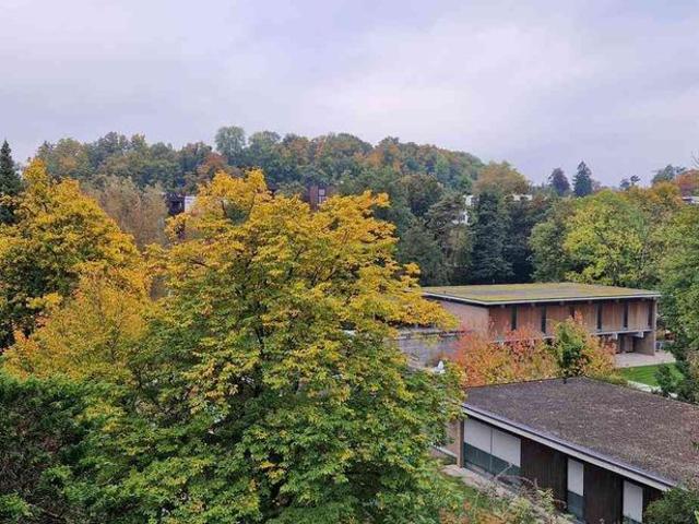 2.5 Zimmer, 63 m², 3. Stock