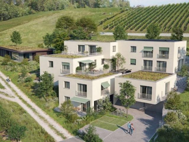 2.5 Zimmer, 73 m², 1. Stock