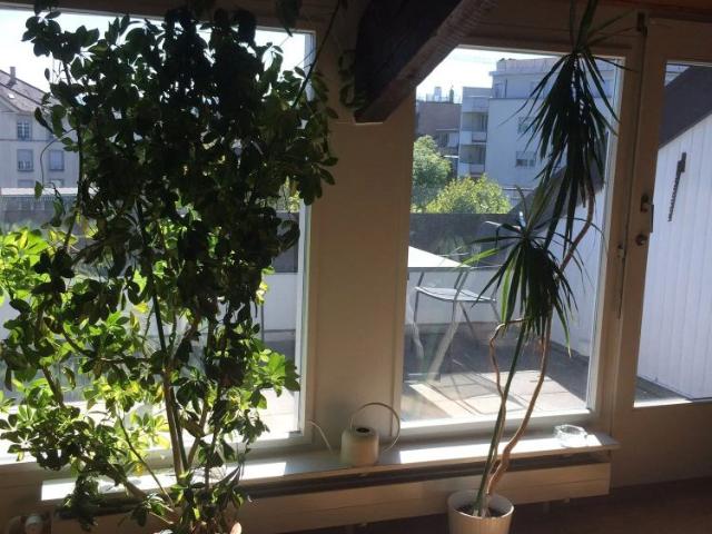 2.5 Zimmer, 87 m², 4. Stock